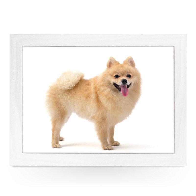 Yoosh Pomeranian Dog Lap Tray - Kitchen Tools & Gadgets - British D'sire