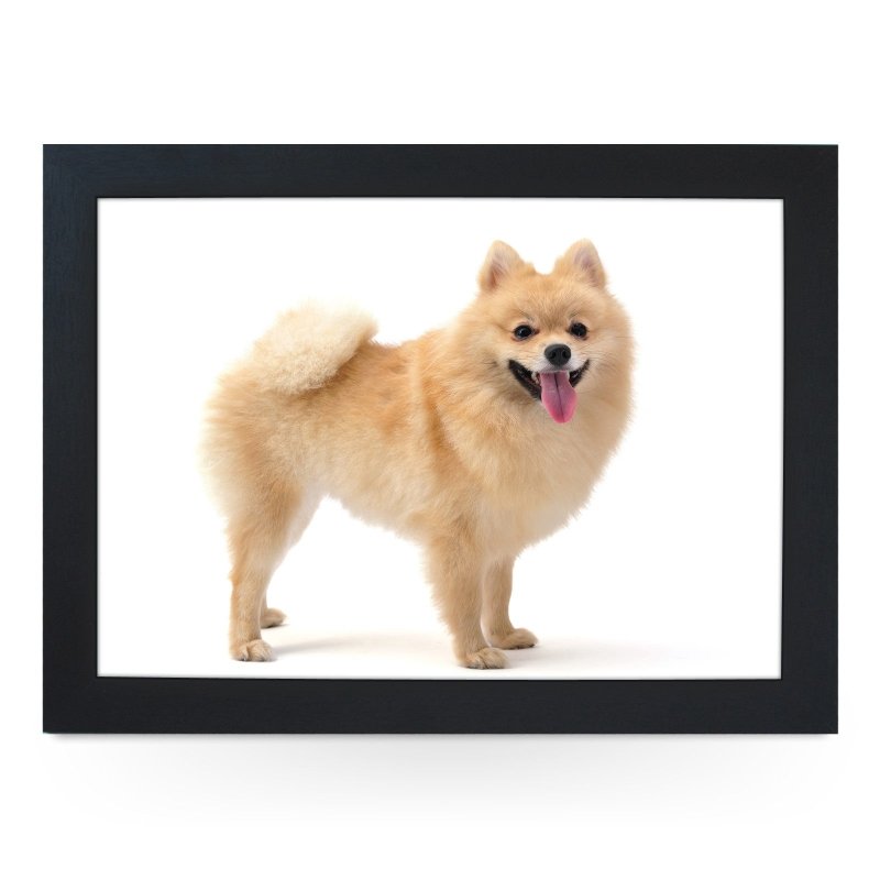 Yoosh Pomeranian Dog Lap Tray - Kitchen Tools & Gadgets - British D'sire