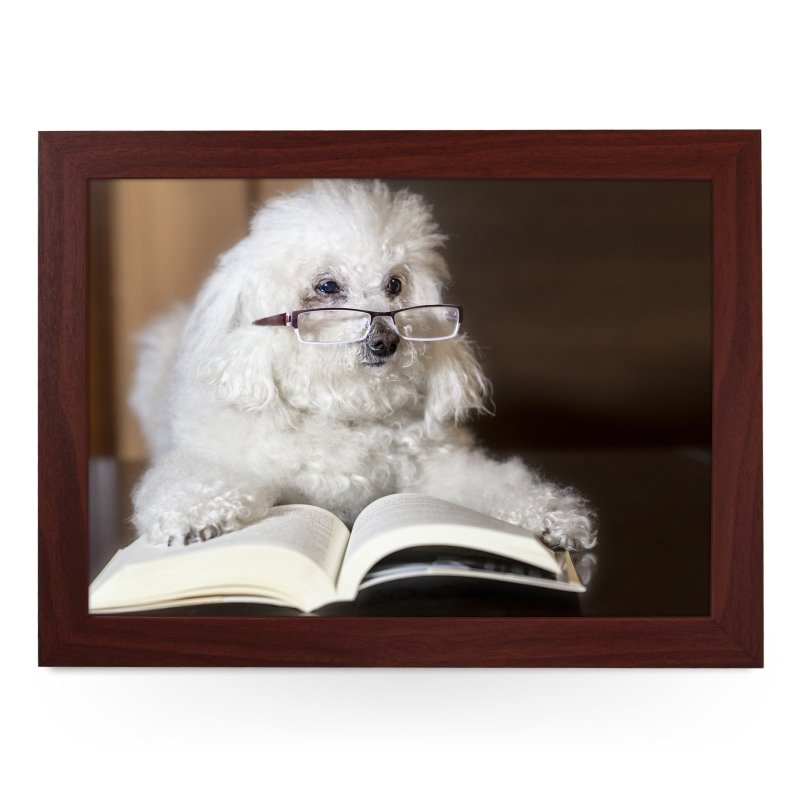 Yoosh Poodle Reading a Book Lap Tray - L0198 - Kitchen Tools & Gadgets - British D'sire