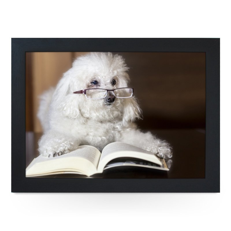 Yoosh Poodle Reading a Book Lap Tray - L0198 - Kitchen Tools & Gadgets - British D'sire