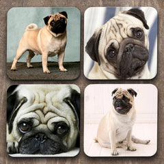 Yoosh Pug Dogs x 4 Coasters - Kitchen Tools & Gadgets - British D'sire