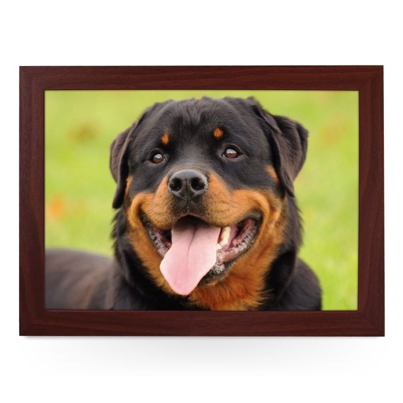 Yoosh Rottweiler Dog Lap Tray -L0733 - Kitchen Tools & Gadgets - British D'sire