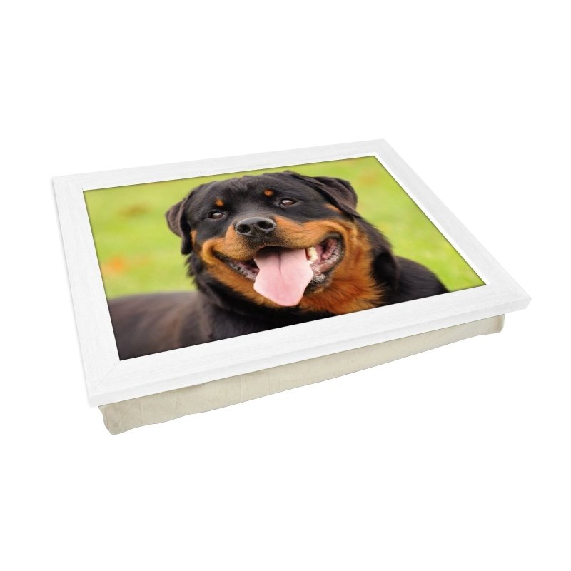 Yoosh Rottweiler Dog Lap Tray -L0733 - Kitchen Tools & Gadgets - British D'sire