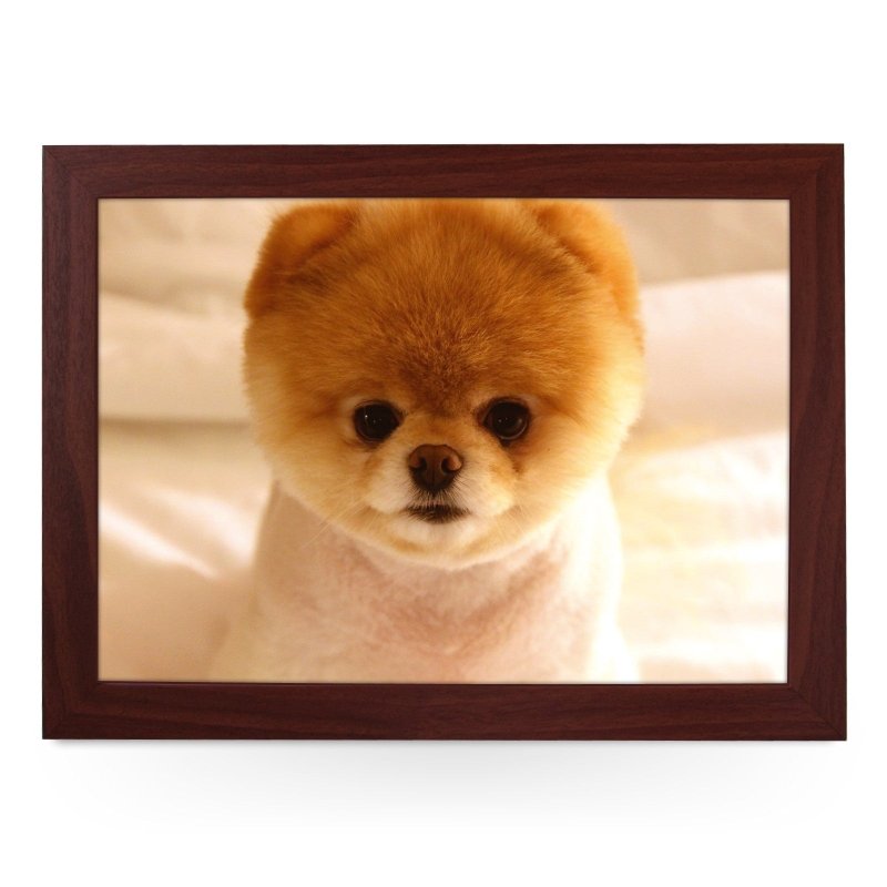 Yoosh Short Haired Pomeranian Dog Lap Tray - Kitchen Tools & Gadgets - British D'sire