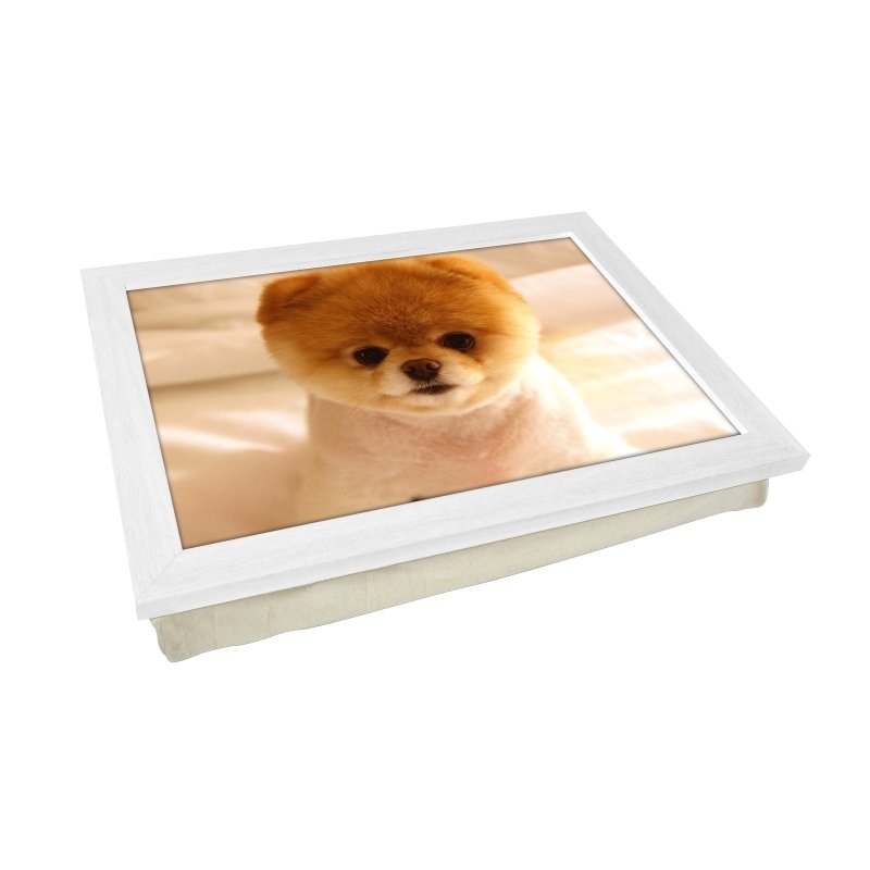 Yoosh Short Haired Pomeranian Dog Lap Tray - Kitchen Tools & Gadgets - British D'sire