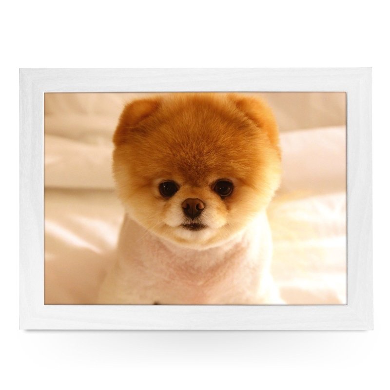 Yoosh Short Haired Pomeranian Dog Lap Tray - Kitchen Tools & Gadgets - British D'sire