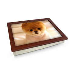 Yoosh Short Haired Pomeranian Dog Lap Tray - Kitchen Tools & Gadgets - British D'sire