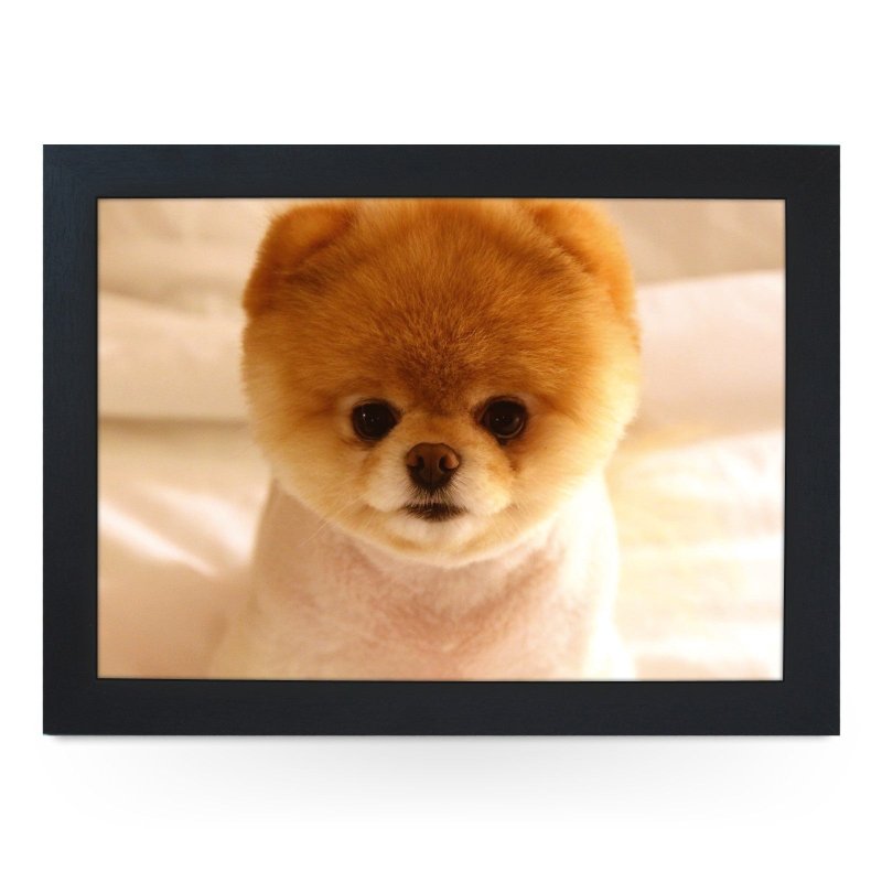 Yoosh Short Haired Pomeranian Dog Lap Tray - Kitchen Tools & Gadgets - British D'sire