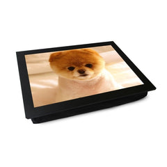 Yoosh Short Haired Pomeranian Dog Lap Tray - Kitchen Tools & Gadgets - British D'sire