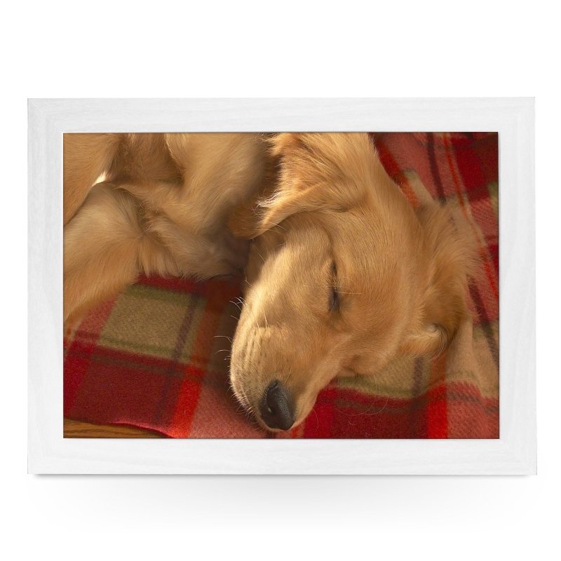 Yoosh Sleeping Golden Retriever Lap Tray - L0041 - Kitchen Tools & Gadgets - British D'sire