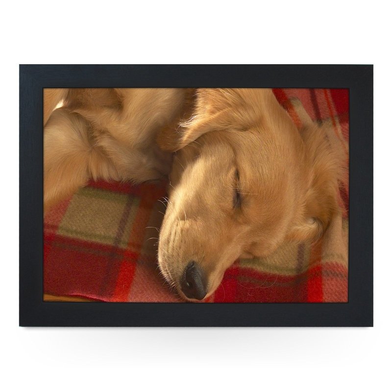 Yoosh Sleeping Golden Retriever Lap Tray - L0041 - Kitchen Tools & Gadgets - British D'sire