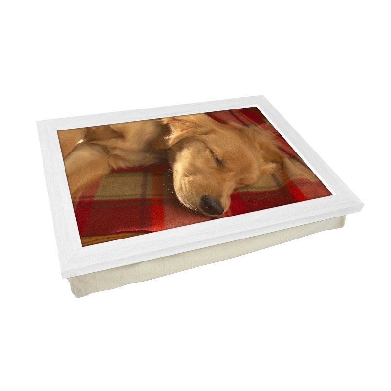 Yoosh Sleeping Golden Retriever Lap Tray - L0041 - Kitchen Tools & Gadgets - British D'sire