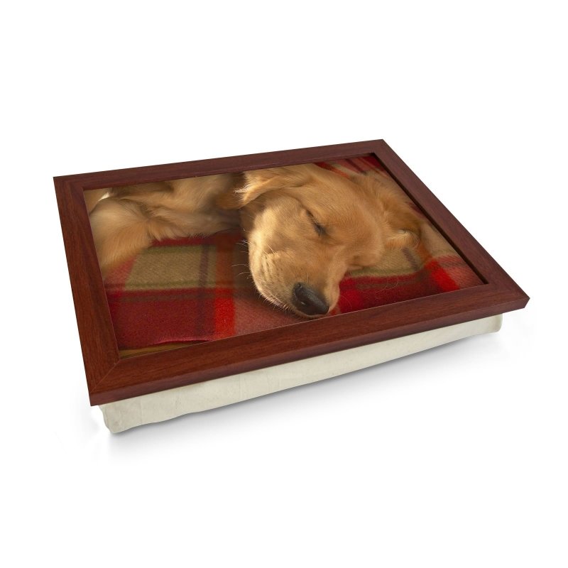 Yoosh Sleeping Golden Retriever Lap Tray - L0041 - Kitchen Tools & Gadgets - British D'sire