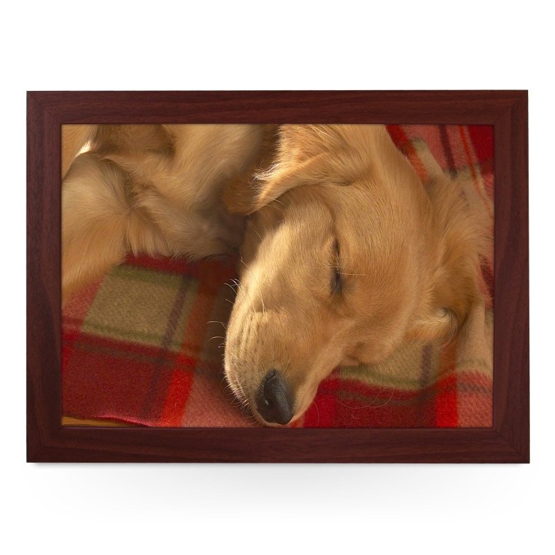 Yoosh Sleeping Golden Retriever Lap Tray - L0041 - Kitchen Tools & Gadgets - British D'sire