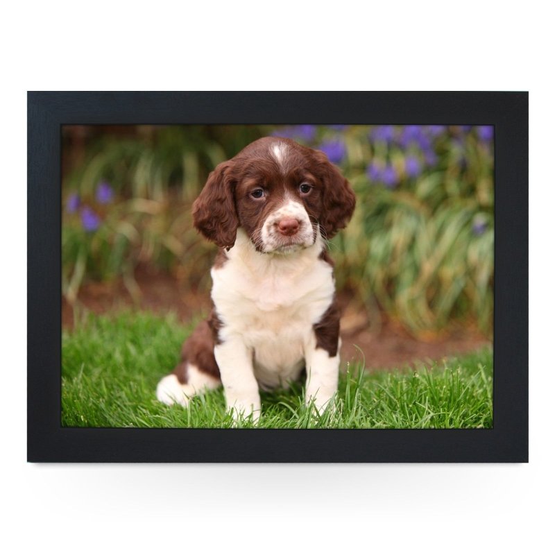 Yoosh Springer Spaniel Puppy Lap Tray - L0586 - Kitchen Tools & Gadgets - British D'sire