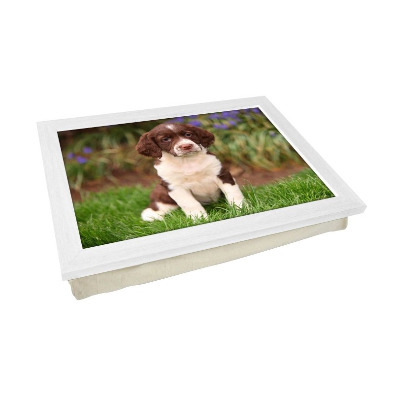 Yoosh Springer Spaniel Puppy Lap Tray - L0586 - Kitchen Tools & Gadgets - British D'sire