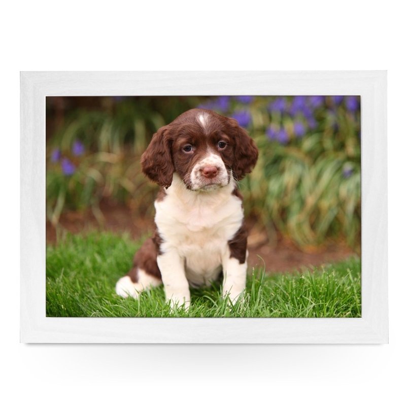 Yoosh Springer Spaniel Puppy Lap Tray - L0586 - Kitchen Tools & Gadgets - British D'sire