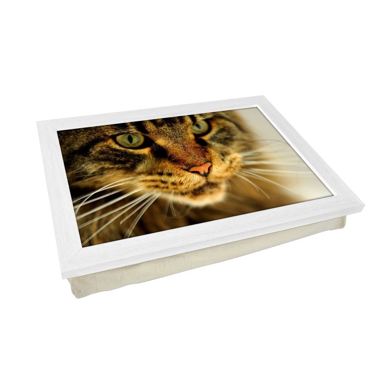 Yoosh Tabby Cat Close Up Lap Tray - Kitchen Tools & Gadgets - British D'sire