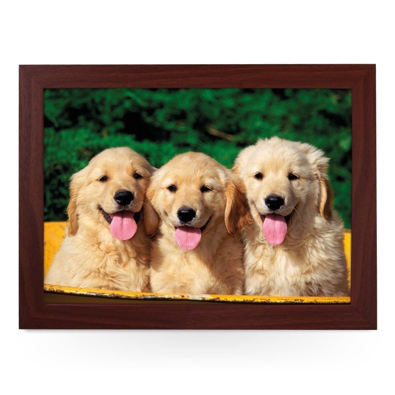 Yoosh Three Golden Retriever Puppies In A Tub Lap Tray - L0397 - Kitchen Tools & Gadgets - British D'sire