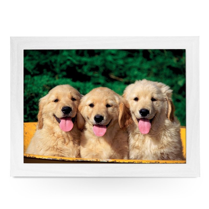 Yoosh Three Golden Retriever Puppies In A Tub Lap Tray - L0397 - Kitchen Tools & Gadgets - British D'sire