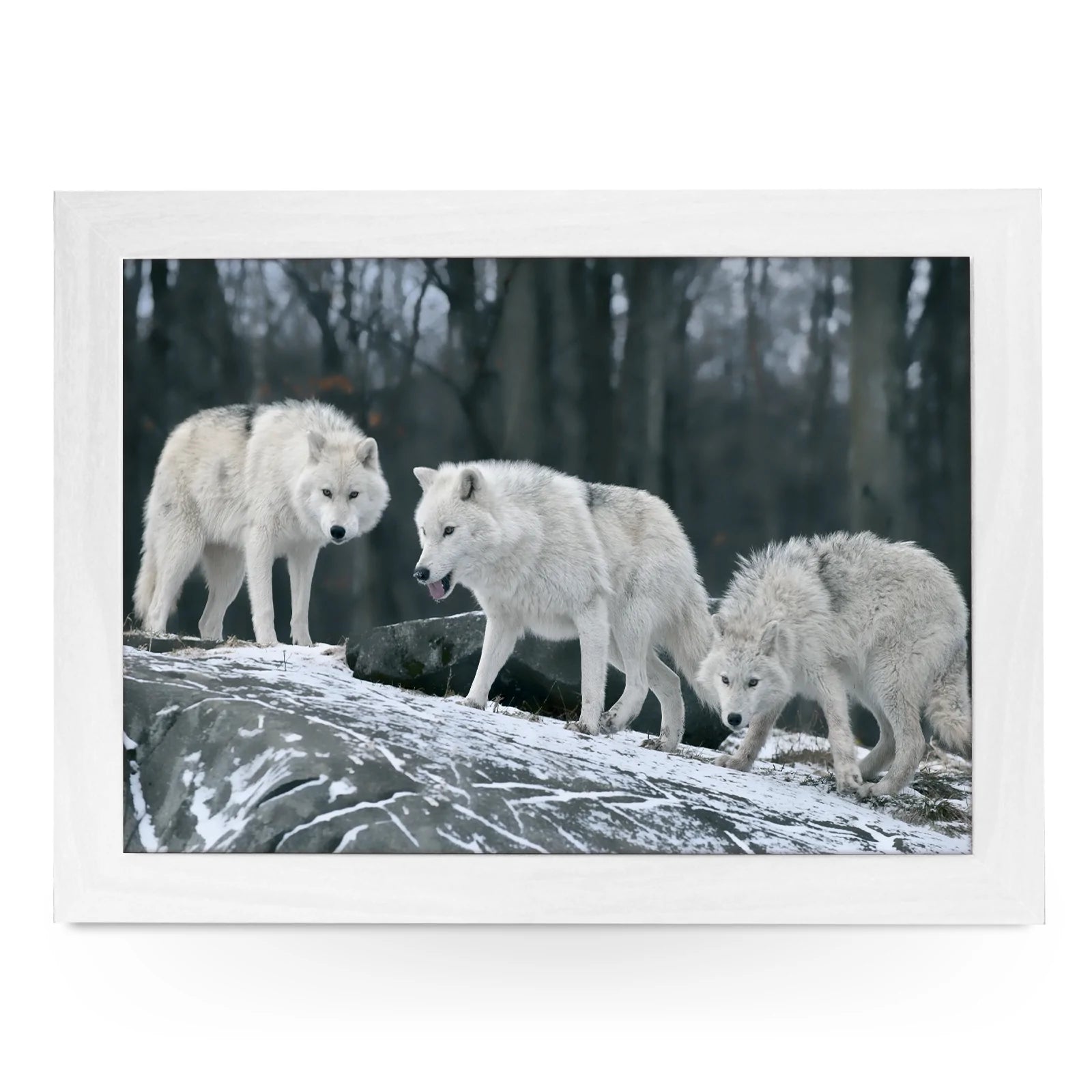 Yoosh Three White Wolves Personalized Lap Tray - Kitchen Tools & Gadgets - British D'sire