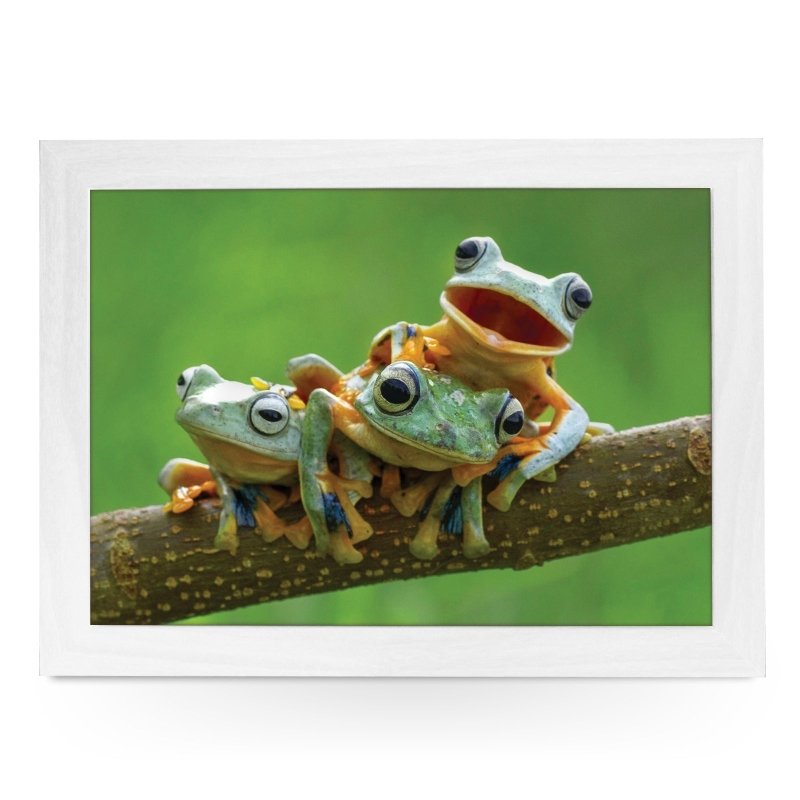 Yoosh Tree Frogs Lap Tray - L0747 - Kitchen Tools & Gadgets - British D'sire